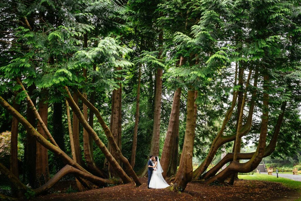 Olivia Buckley International, Destination Wedding Ireland, Irish Wedding Planner, Wedding Planning List, Wedding Planning Advice Ireland, Ashford Castle