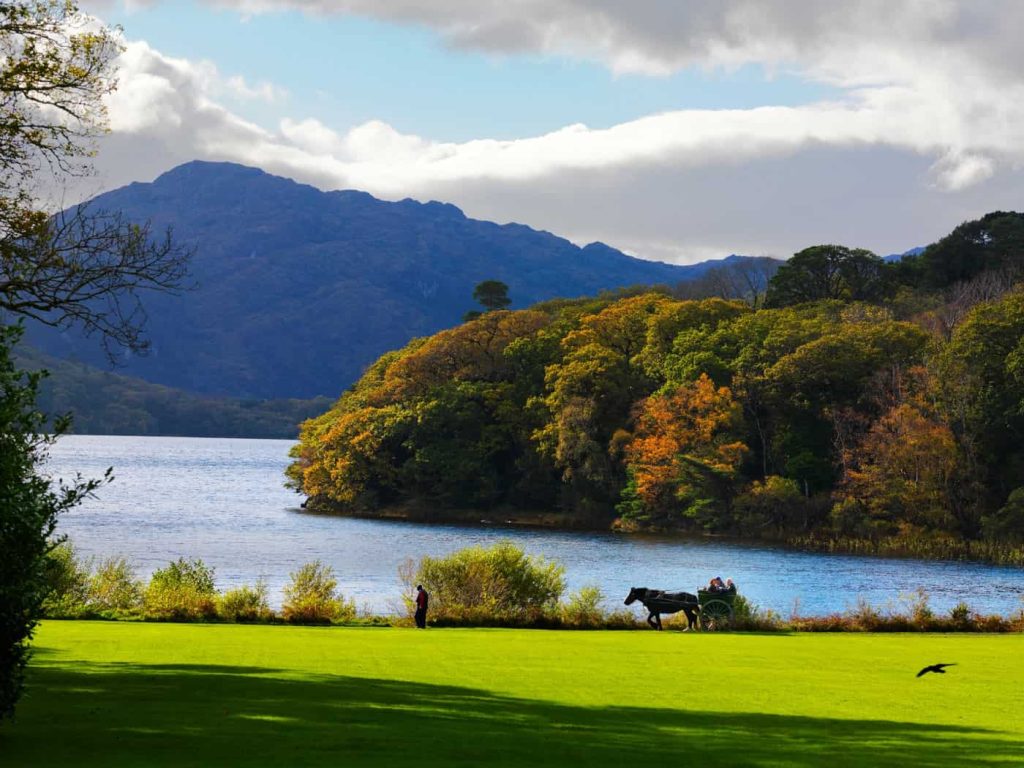 Castle weddings Ireland — horse and carriage in Killarney National Park, County Kerry, with a lake and mountain landscape.