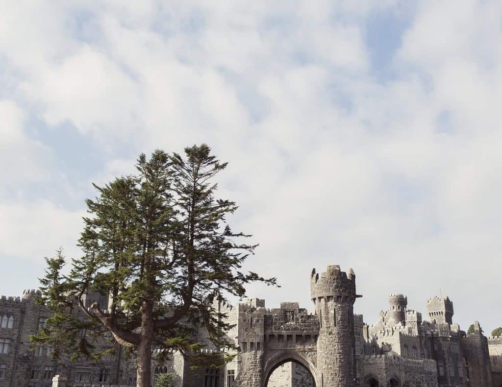 Stone medieval castle with towers and an arched gate, largely framed by a large foreground tree under a cloudy sky.