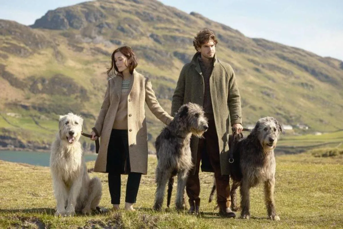 Destination wedding in Ireland — couple wearing Magee 1866 tweed jackets with three Irish Wolfhounds against a mountain landscape, showcasing heritage tailoring inspired by Irish craftsmanship.